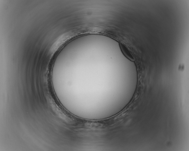 X0000115300242200911161704