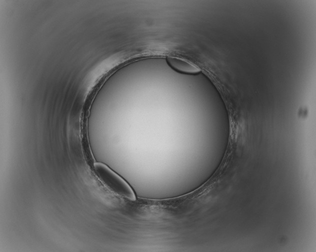 X0000115300244200911161704