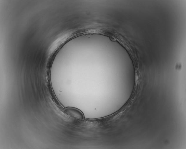 X0000115300245200911161704