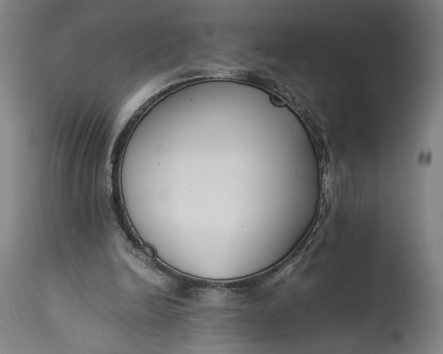 X0000115300246200911161704