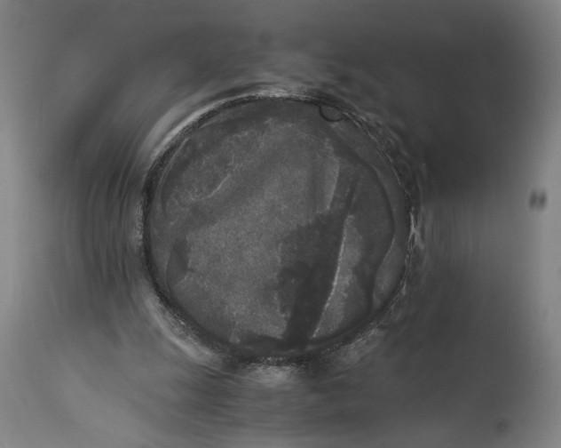 X0000115300247200911161704