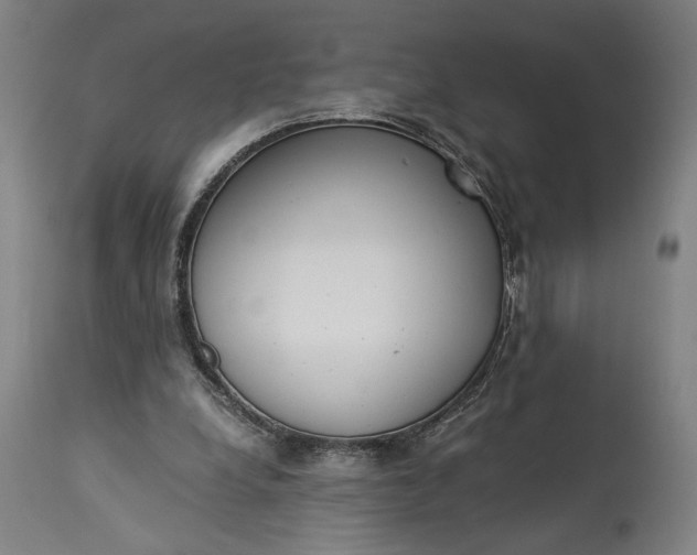 X0000115300248200911161704