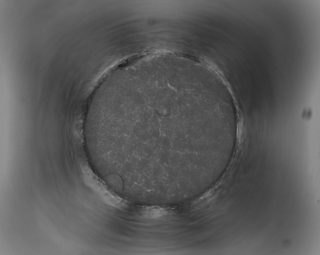 X0000115300249200911161704