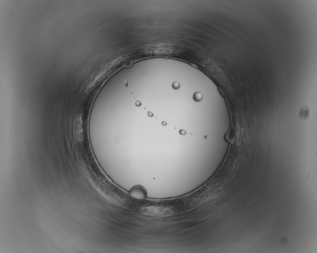 X0000115300251200911161704