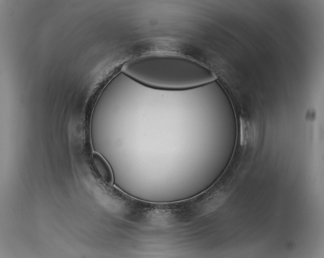 X0000115300252200911161704