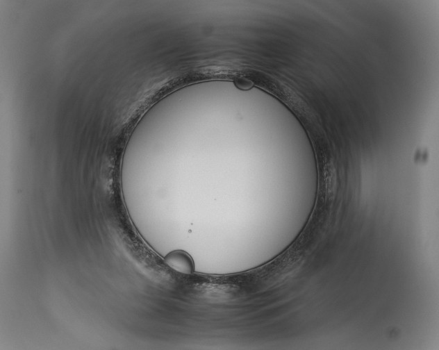 X0000115300255200911161704