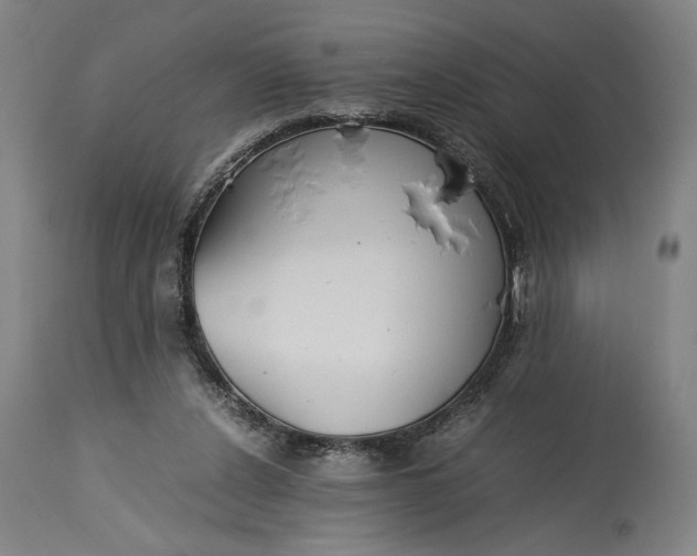 X0000115300256200911161704