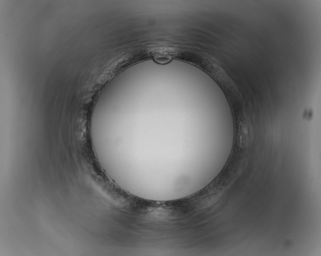 X0000115300259200911161704