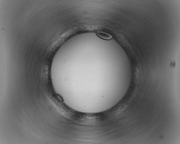 X0000115300260200911161704