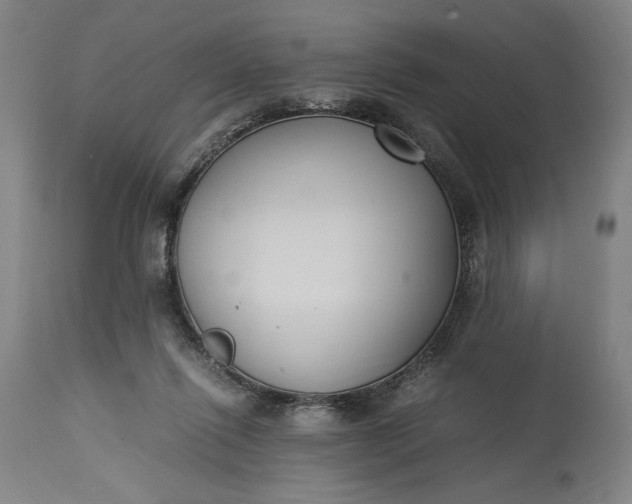 X0000115300262200911161704