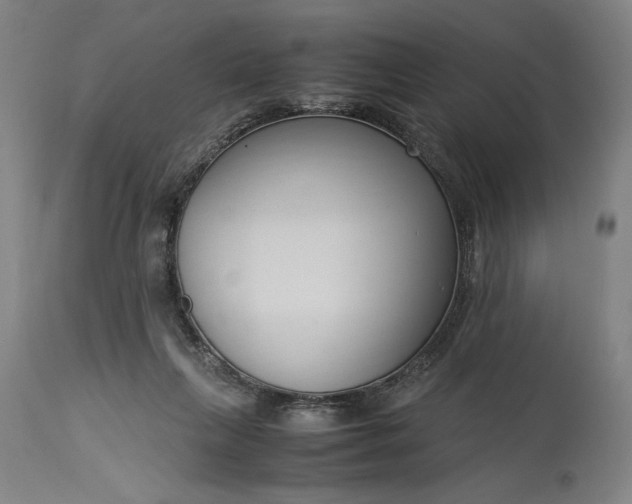 X0000115300263200911161704