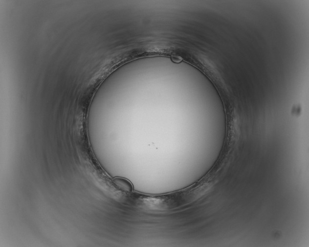 X0000115300265200911161704