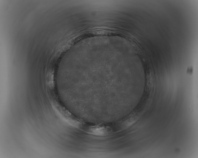 X0000115300267200911161704