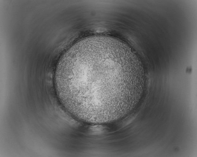 X0000115300269200911161704