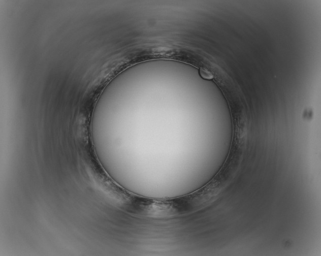 X0000115300270200911161704