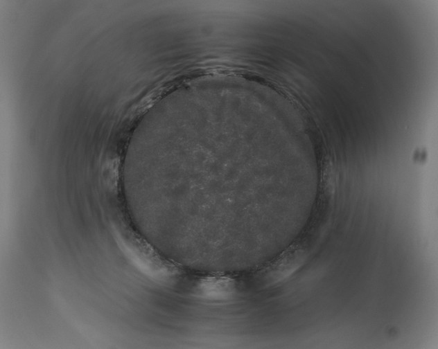 X0000115300271200911161704