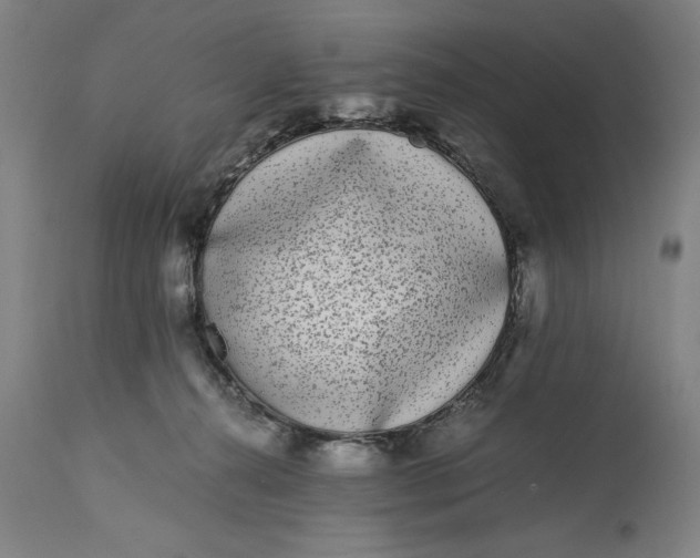 X0000115300272200911161704