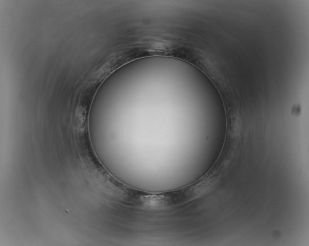 X0000115300273200911161704