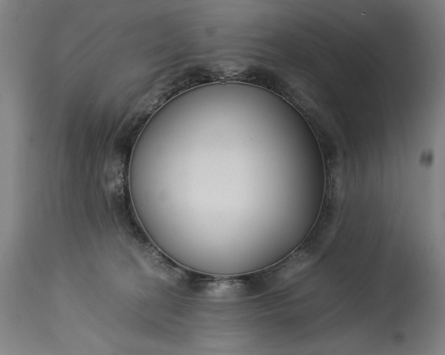 X0000115300274200911161704