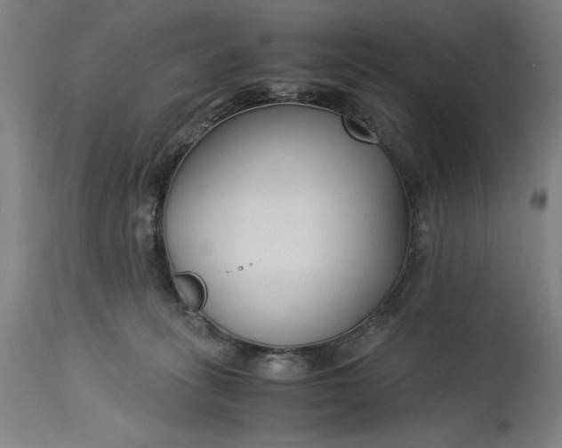 X0000115300275200911161705