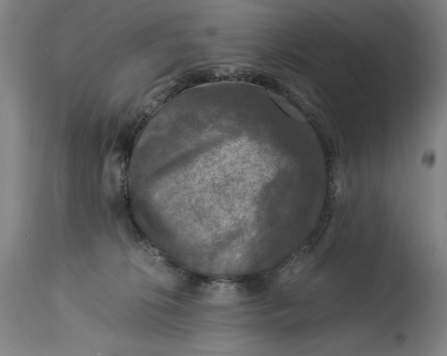 X0000115300276200911161705