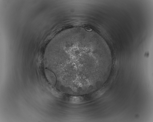 X0000115300277200911161705