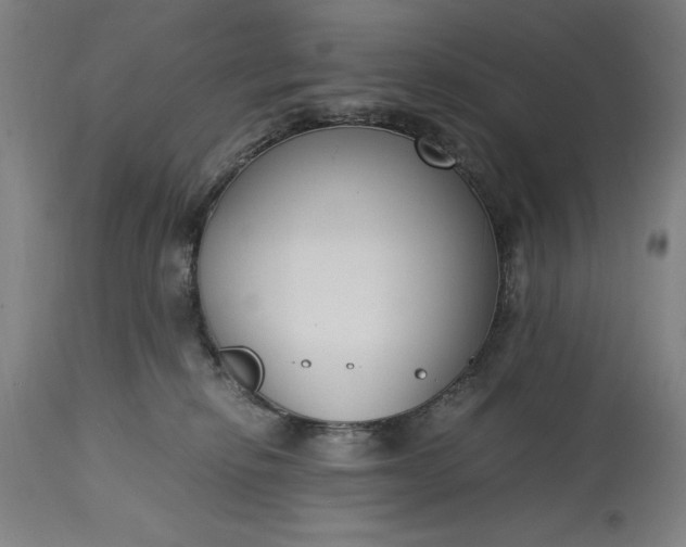 X0000115300278200911161705