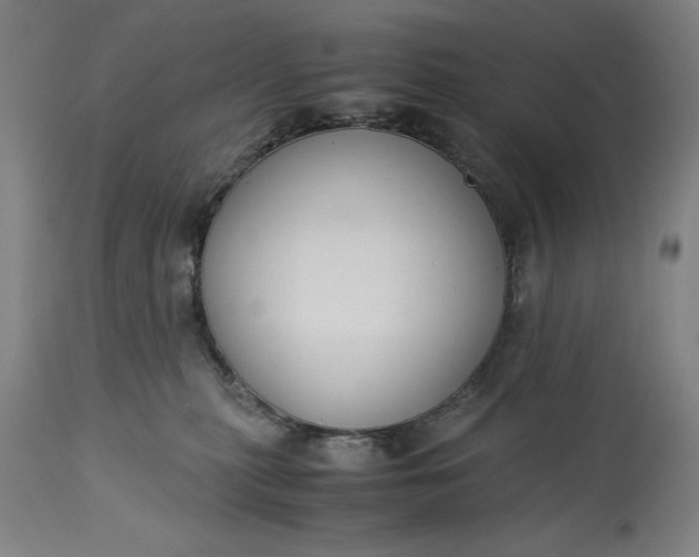 X0000115300279200911161705