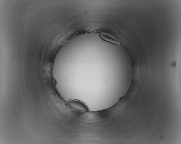 X0000115300280200911161705