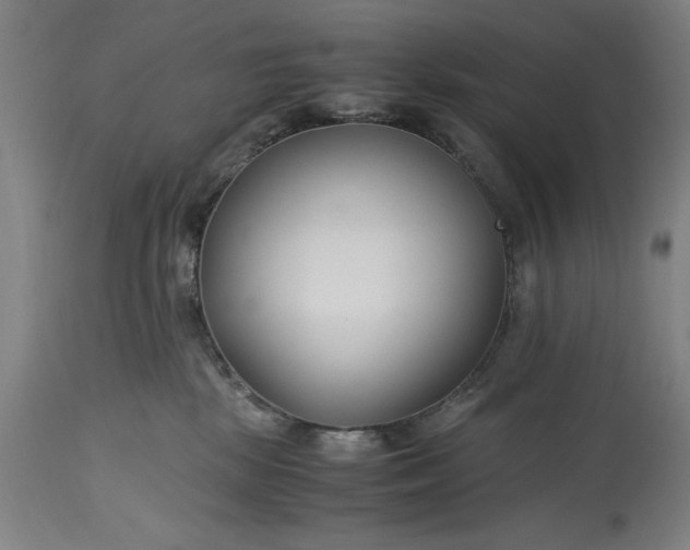 X0000115300281200911161705