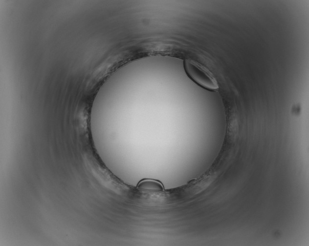 X0000115300282200911161705