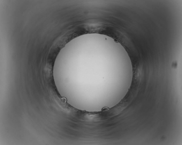 X0000115300283200911161705