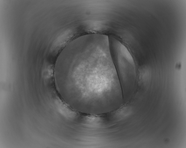 X0000115300284200911161705