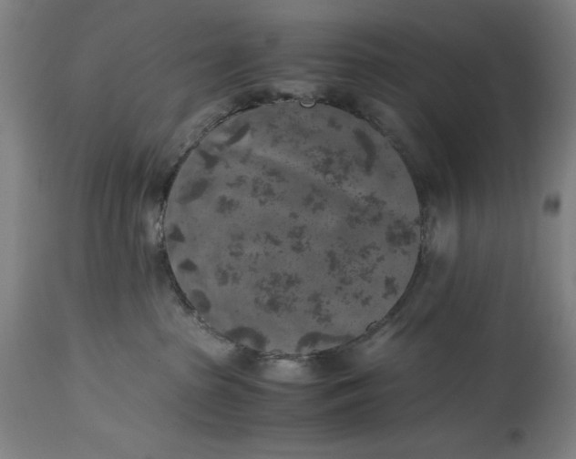 X0000115300285200911161705