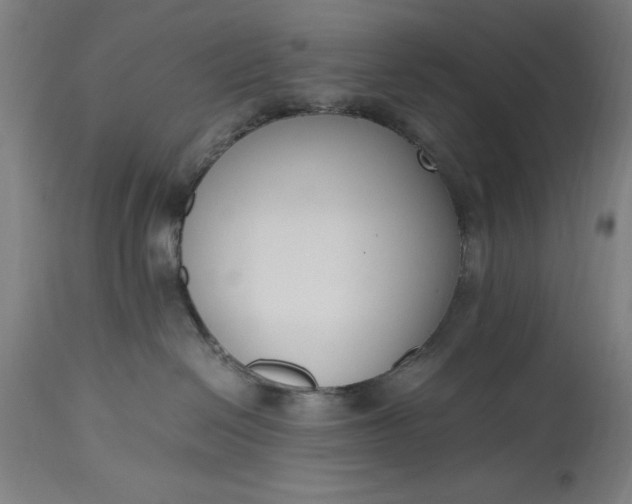 X0000115300286200911161705