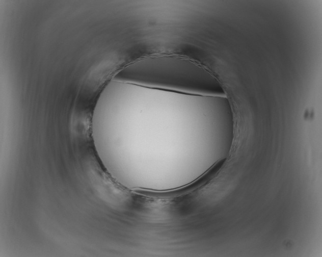 X0000115300288200911161705