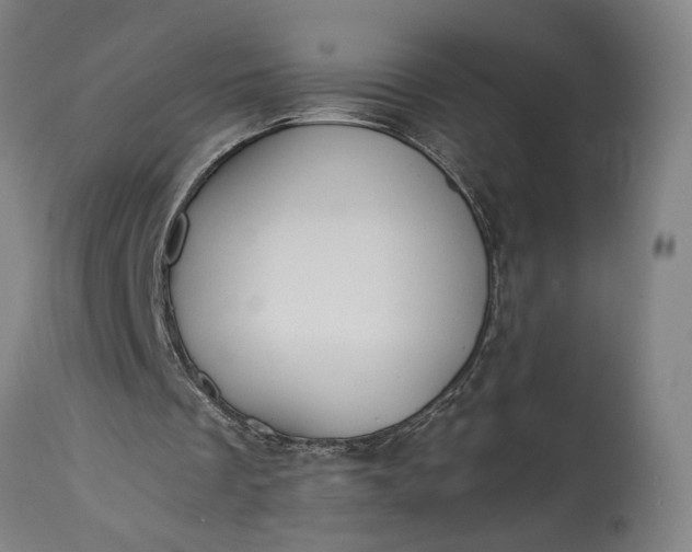 X0000115300289200911161704