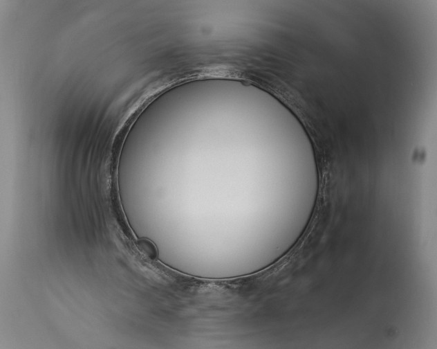 X0000115300290200911161704