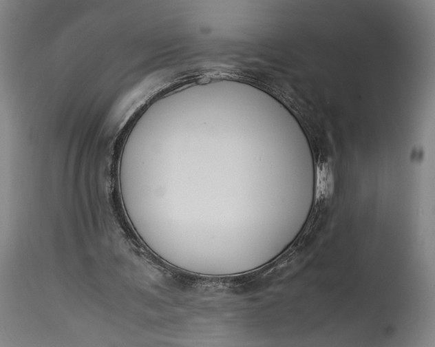 X0000115300291200911161704