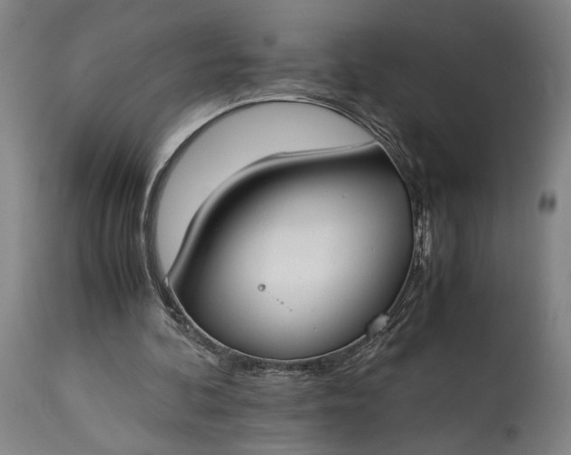 X0000115300292200911161704