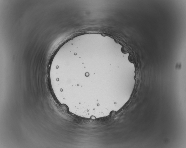 X0000115300293200911161704