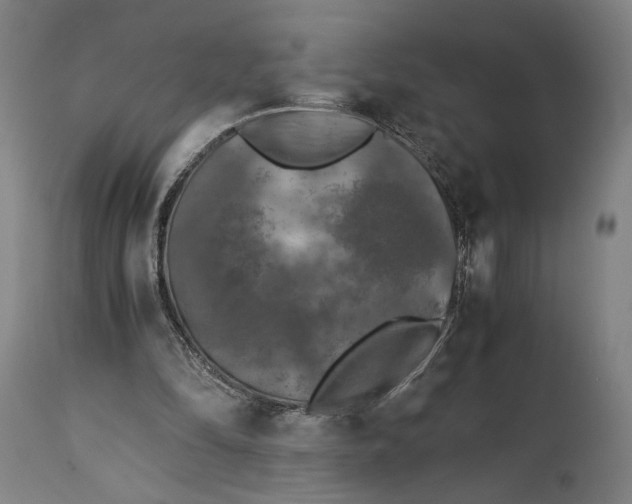 X0000115300294200911161704