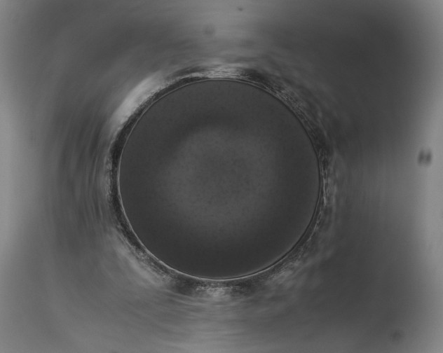 X0000115300295200911161704