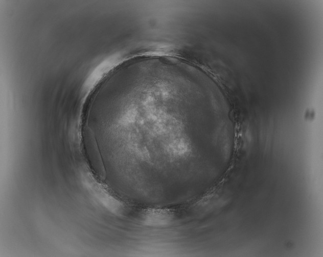 X0000115300296200911161704