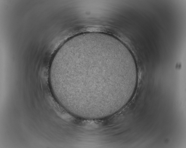 X0000115300297200911161704