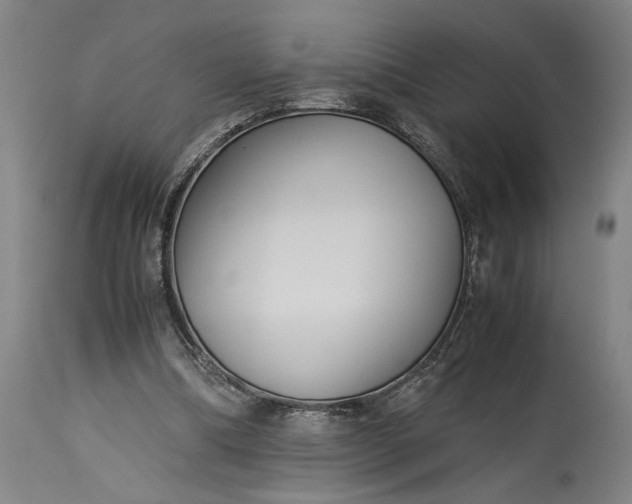 X0000115300298200911161704