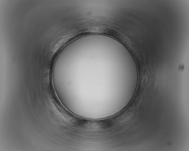 X0000115300299200911161704