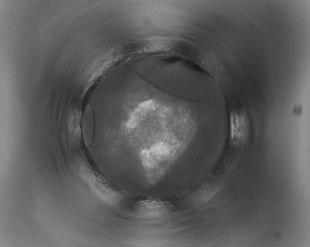 X0000115300300200911161704