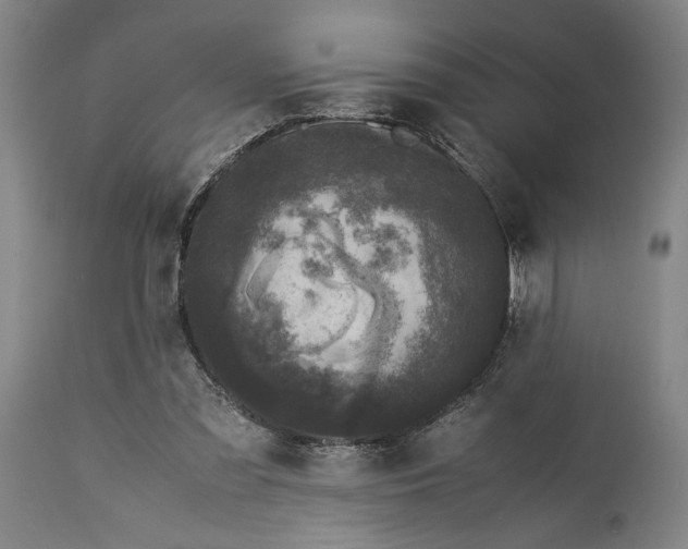 X0000115300301200911161704