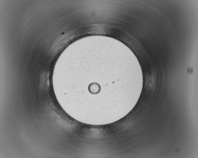 X0000115300302200911161704